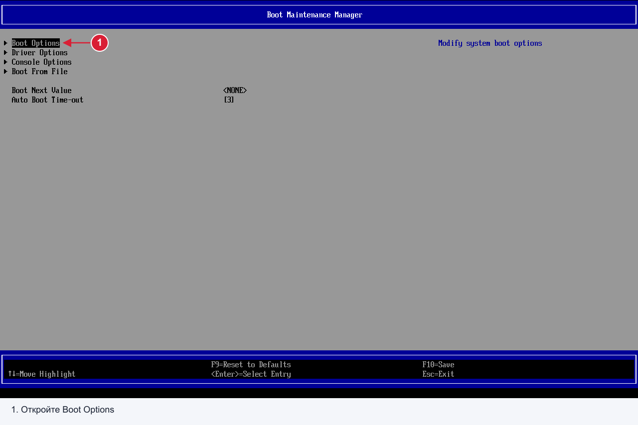 Пример в OVMF UEFI: Boot Maintenance Manager → Boot Options.